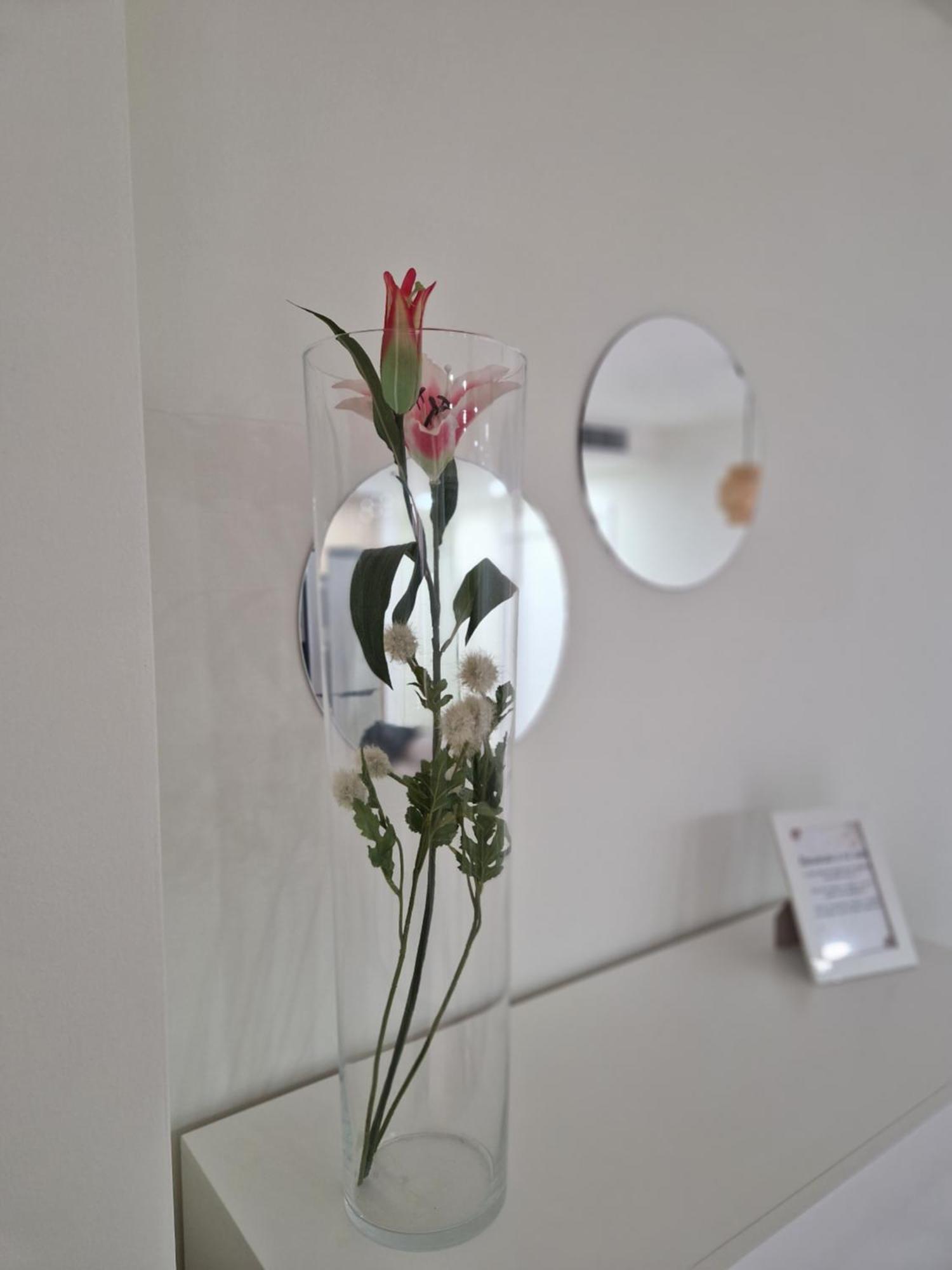 Appartement V27 *